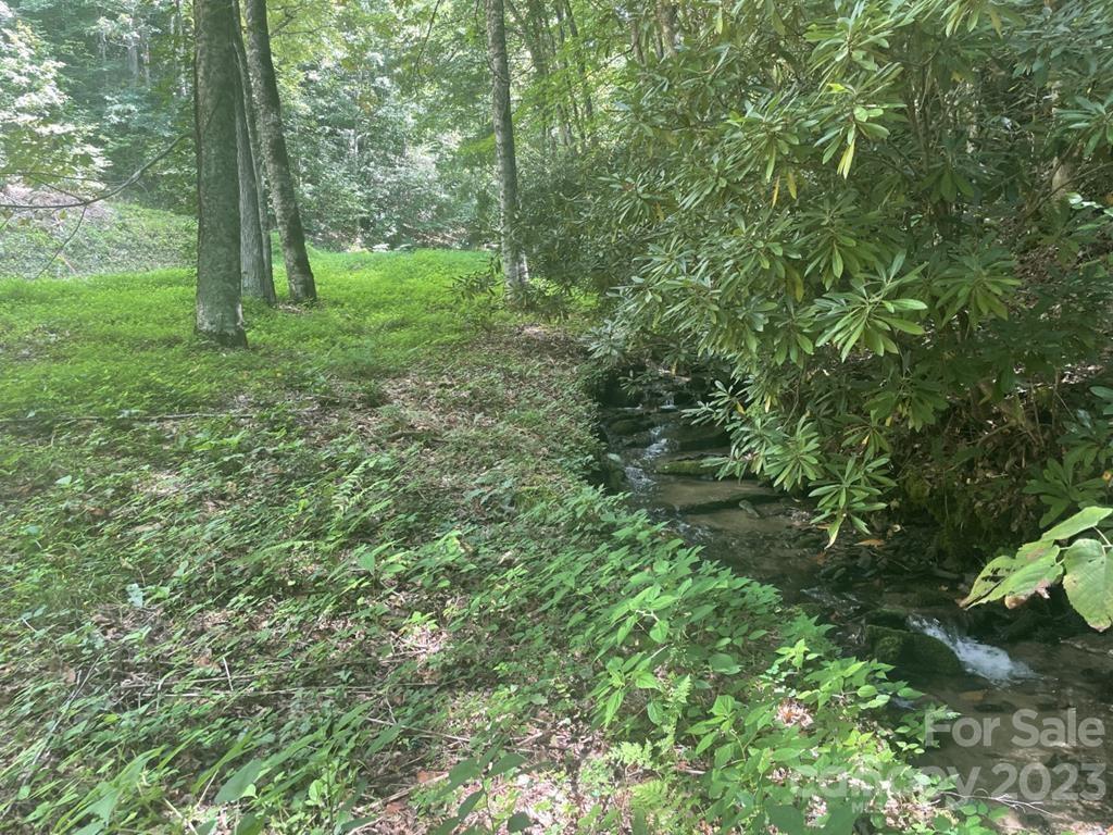 LOT17/18 Long Creek Ln Unit 17/18, Bryson City, NC 28713 - photo 1