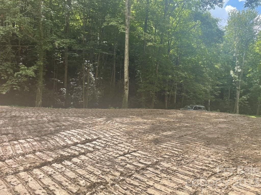 LOT17/18 Long Creek Ln Unit 17/18, Bryson City, NC 28713 - photo 2