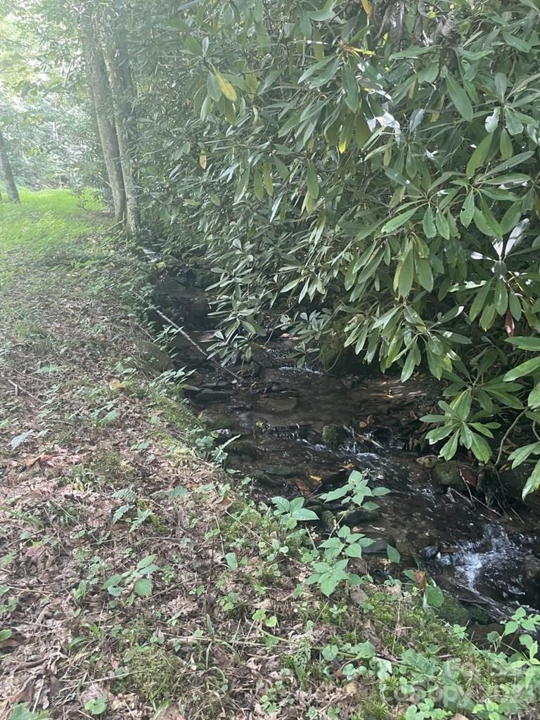 LOT17/18 Long Creek Ln Unit 17/18, Bryson City, NC 28713 - photo 3