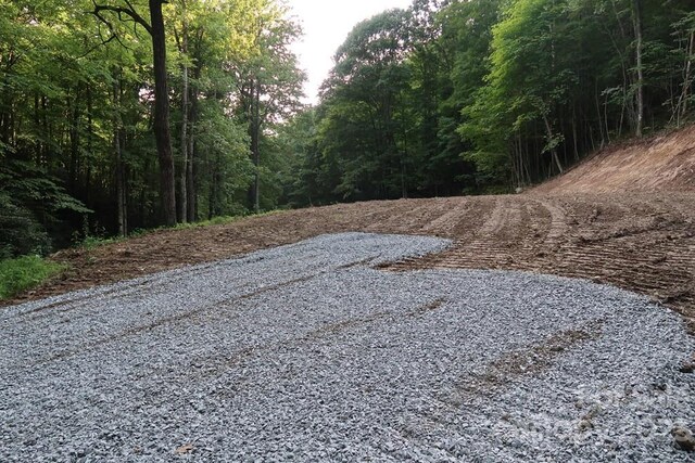 LOT17/18 Long Creek Ln Unit 17/18, Bryson City, NC 28713 - photo 4