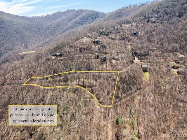 LOT30 Trickle Creek Rd, Waynesville NC, 28785 land for sale