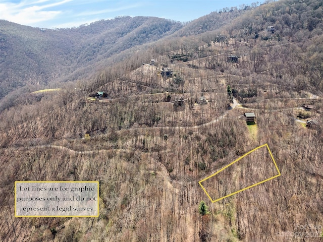 LOT33 Trickle Creek Rd, Waynesville NC, 28785 land for sale