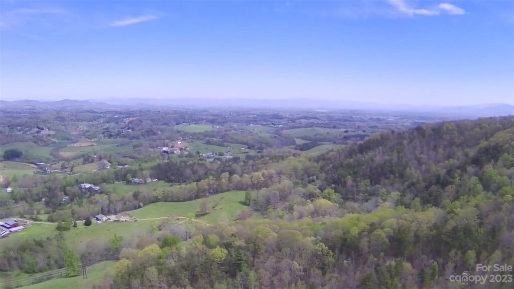99999 Hayes Cove Rd, Leicester, NC 28748 - photo 2