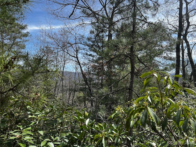 LOTM35 Pine Mountain Rd Unit M35, Brevard NC, 28712 land for sale