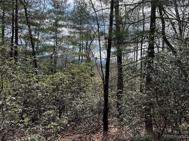 Listing photo 3 for LOTM35 Pine Mountain Rd Unit M35, Brevard NC 28712