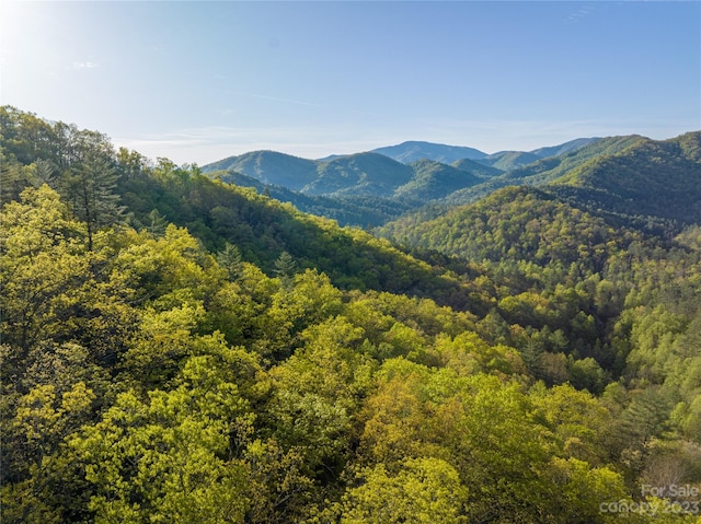 00 Sleepy Hollow Rd, Robbinsville NC, 28901 land for sale