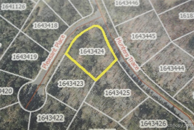 0 Pleasant Pl, Rutherfordton NC, 28139 land for sale