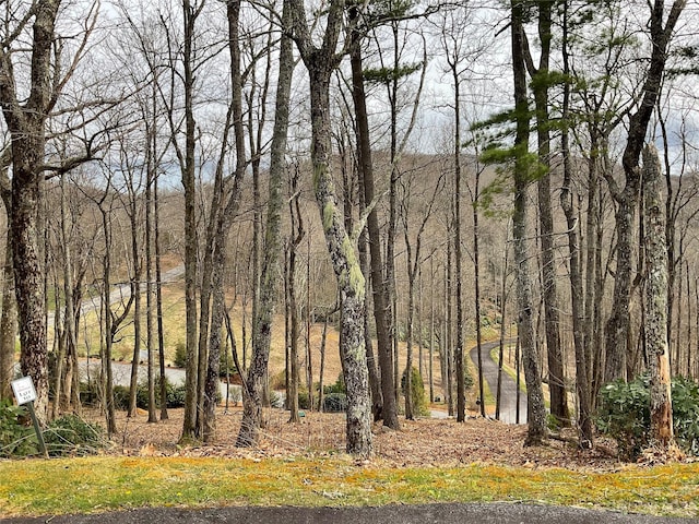 Lot9,10 Sunset Ridge Drive 9 & 10, Boone NC, 28605 land for sale