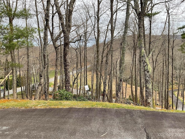 Listing photo 2 for Lot9,10 Sunset Ridge Drive 9 & 10, Boone NC 28605