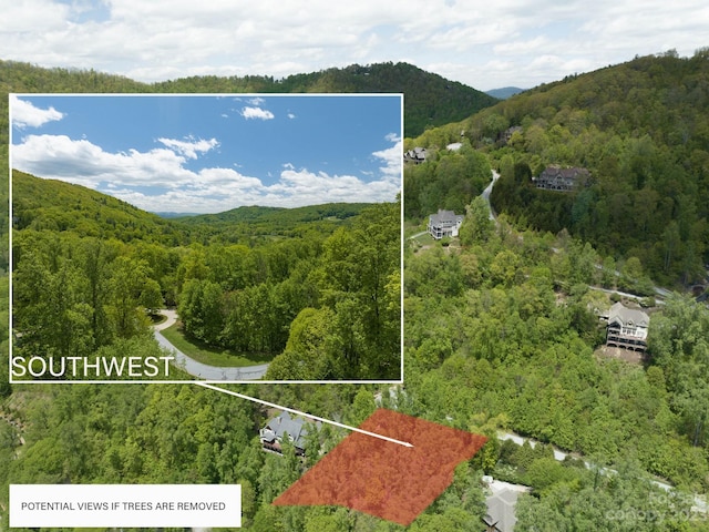 26 Fall Mountain Rd Unit 58, Asheville NC, 28803 land for sale