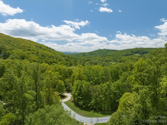 Listing photo 3 for 26 Fall Mountain Rd Unit 58, Asheville NC 28803