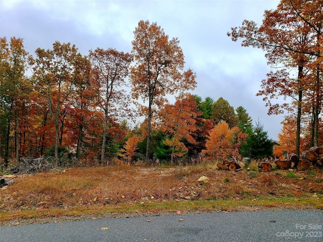 Listing photo 2 for LOT23 Boulder Cay Rd Unit 23, Boone NC 28607