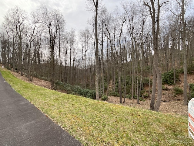 Listing photo 3 for LOT24 Boulder Cay Rd, Boone NC 28607