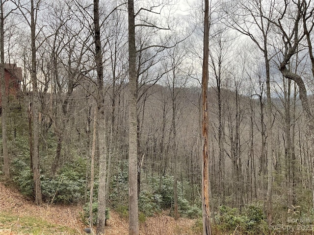 Listing photo 3 for LOT31 Boulder Cay Rd, Boone NC 28607