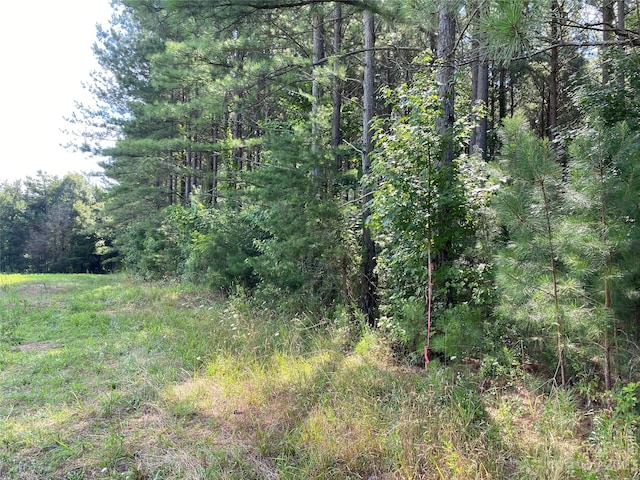 000 Capps Rd, Bessemer City, NC 28016 - photo 5