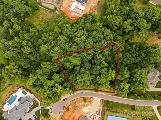8706 Ruby Hill Ct, Waxhaw, NC 28173 - photo 2