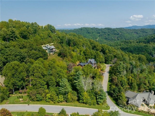 Listing photo 3 for 27 Summit Tower Cir, Asheville NC 28804