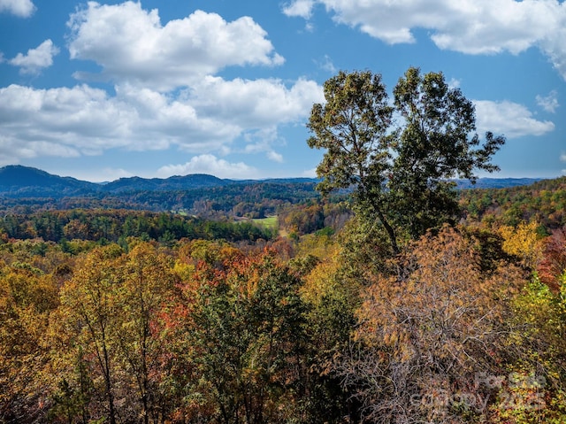 property view of mountains