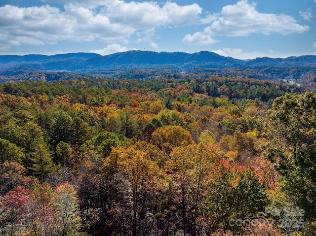 property view of mountains