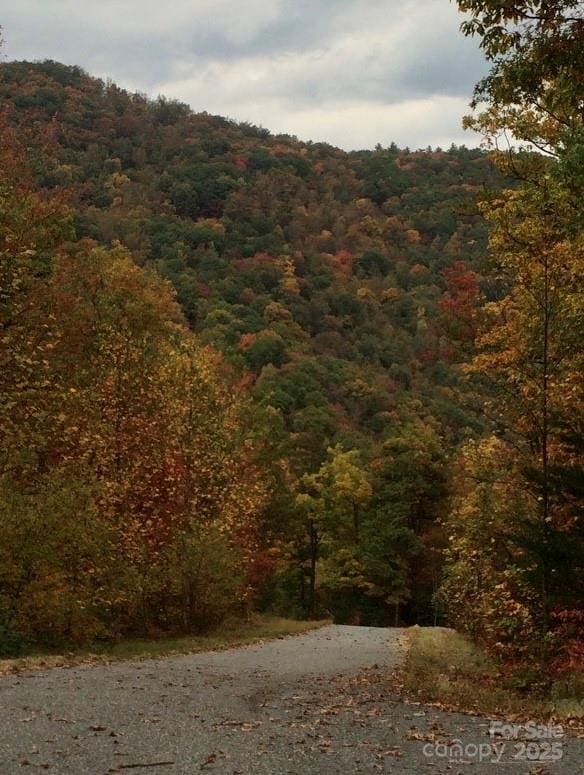 view of mountain feature