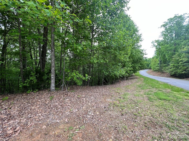 Listing photo 3 for 0 Black Lark Drive 170&72, Marion NC 28752