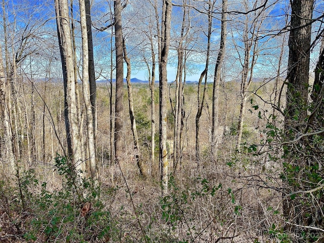 Hendersonville NC, 28739 land for sale