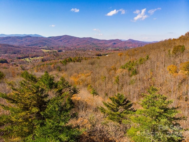 TBD Continental Divide Rd Unit C3, Spruce Pine NC, 28777 land for sale