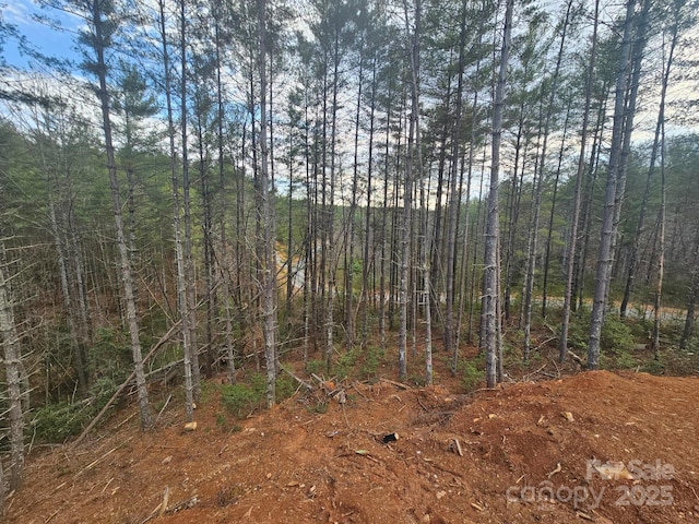 view of landscape featuring a forest view