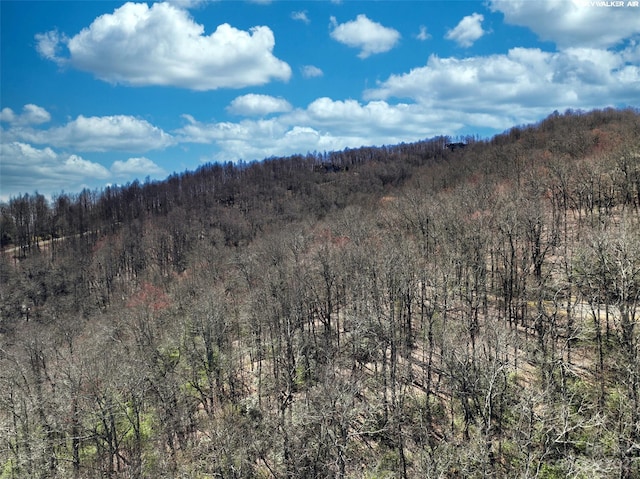 view of mountain view