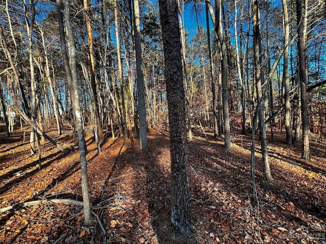 Listing photo 3 for 129 Hunt Camp Trl Unit 15, Davidson NC 28036