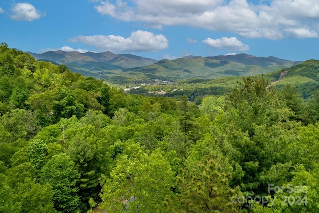 15 Fates Overlook Loop, Black Mountain NC, 28711 land for sale