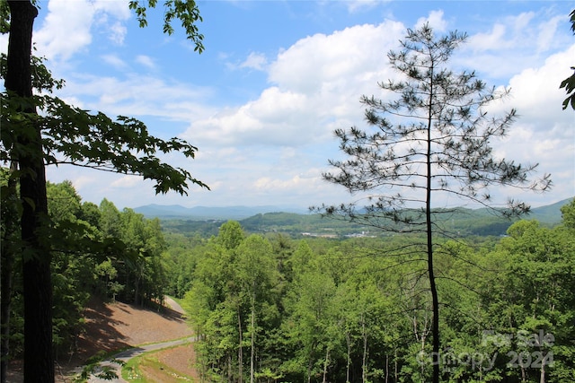 000 Northview Dr Unit 12, Hendersonville NC, 28791 land for sale