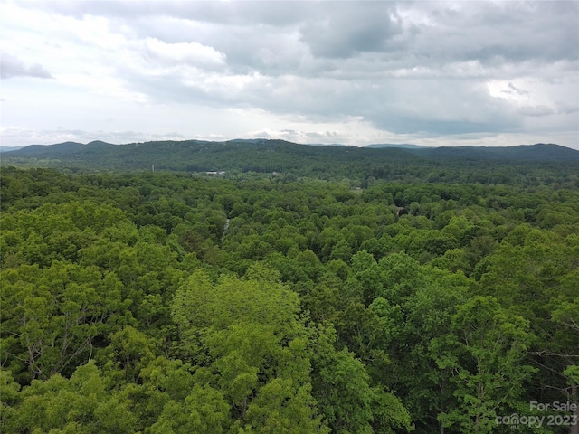 000 Northview Dr Unit 15, Hendersonville NC, 28791 land for sale