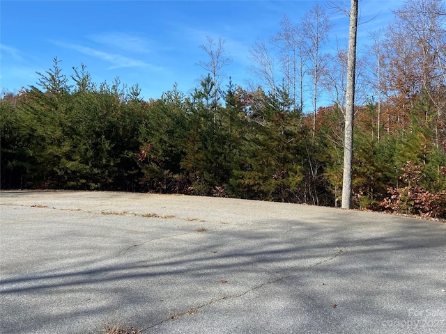 0 Deer Jump Trl Unit 351, Lake Lure NC, 28746 land for sale