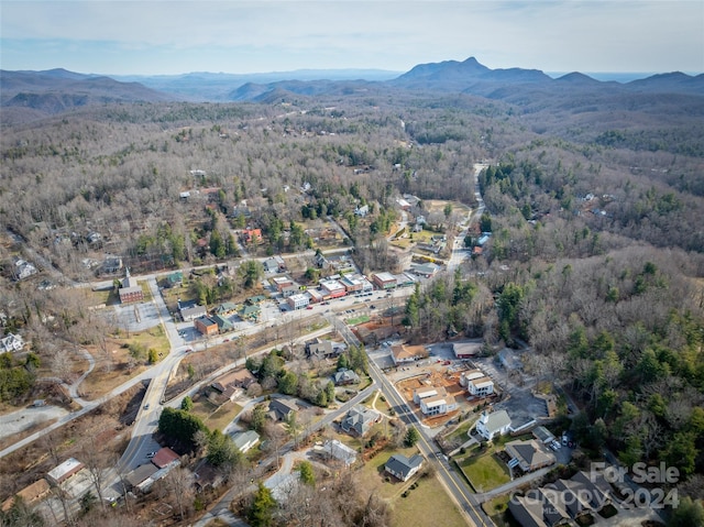 bird's eye view with a mountain view