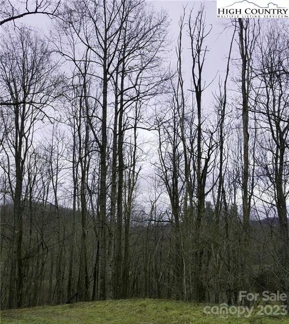 Listing photo 2 for LOT10 Yasmine Ln, Valle Crucis NC 28692