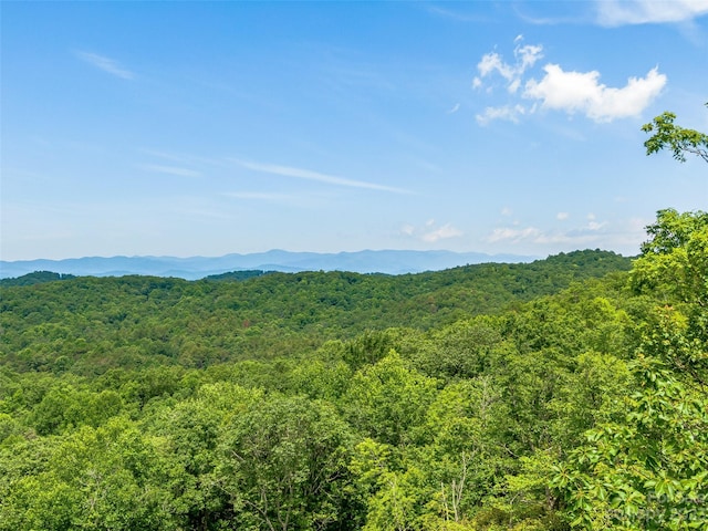 999 Big Hill Rd, Brevard NC, 28712 land for sale