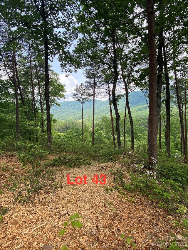 LOT43 Deep Gap Farm Rd E, Mill Spring NC, 28756 land for sale