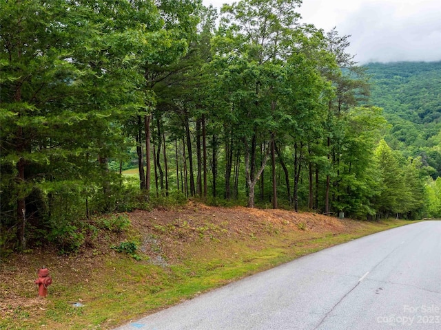 Listing photo 3 for LOT43 Deep Gap Farm Rd E, Mill Spring NC 28756