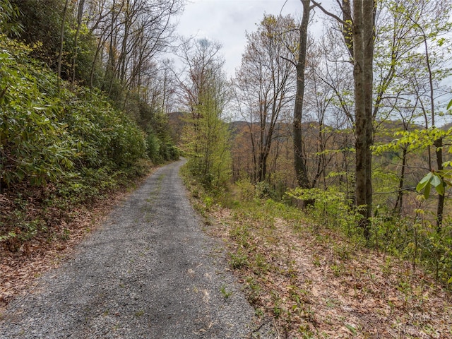 Listing photo 3 for 00 Hawk Dr, Maggie Valley NC 28751