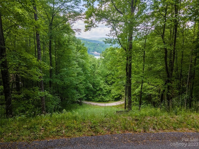 LT10 Von Trapp Ln Unit 10, Tuckasegee NC, 28783 land for sale