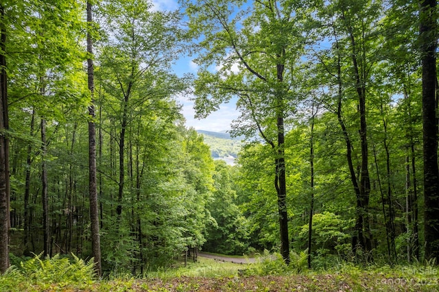 LT12A Von Trapp Ln Unit 12A, Tuckasegee NC, 28783 land for sale