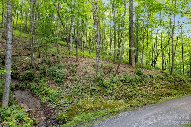 LT12C Von Trapp Ln Unit 12C, Tuckasegee NC, 28783 land for sale