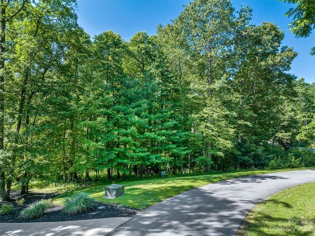 Listing photo 2 for LOT125 Thunder Mountain Rd, Hendersonville NC 28792