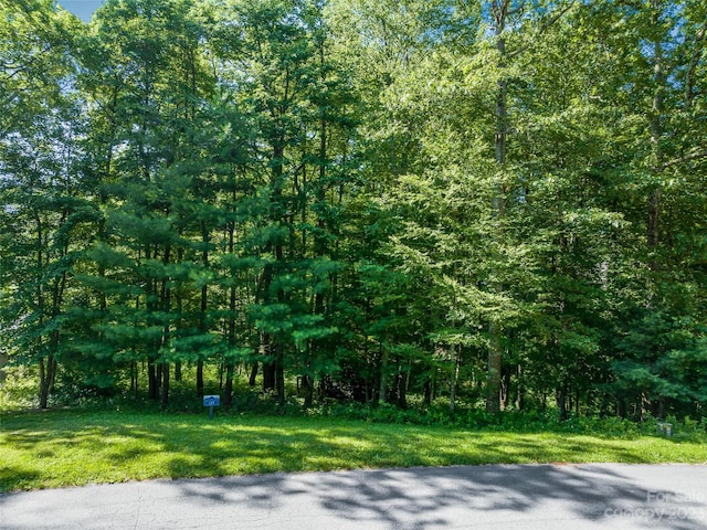 Listing photo 3 for LOT125 Thunder Mountain Rd, Hendersonville NC 28792