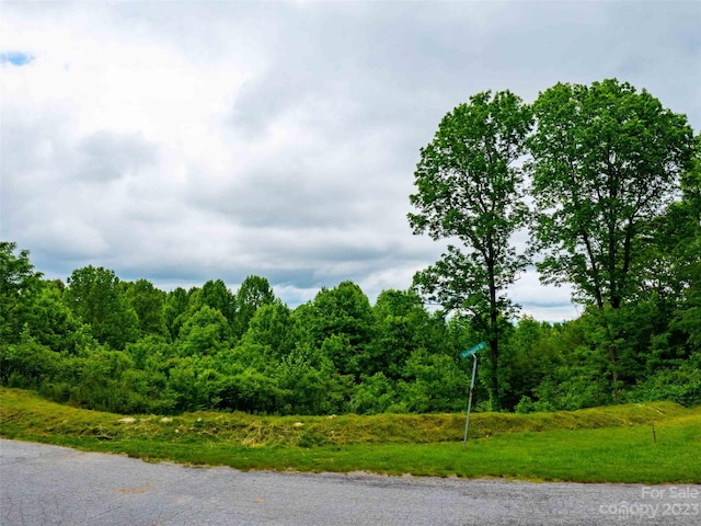 252 Pinewood Cir, Laurel Park NC, 28739 land for sale