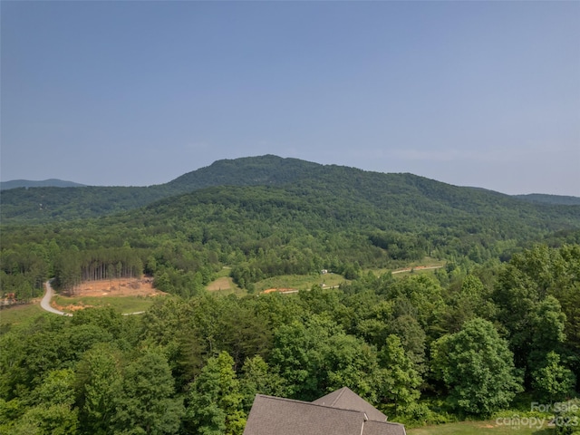 Listing photo 3 for LOT14 Easy St, Lake Lure NC 28746