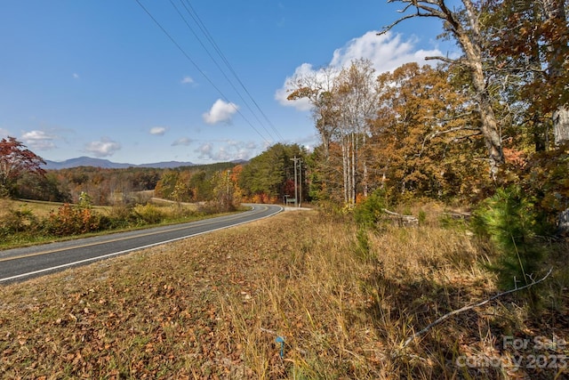 0 Butternut Ln, Rutherfordton NC, 28139 land for sale