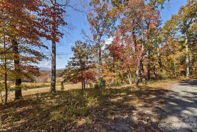 Listing photo 3 for 0 Butternut Ln, Rutherfordton NC 28139