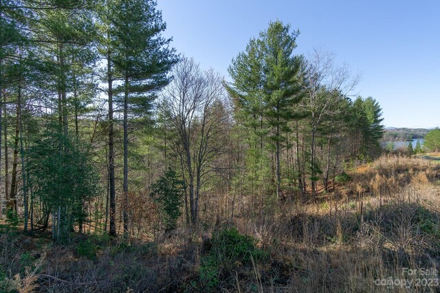 V/L Sunset Point Parkway Unit 31, Marion, NC 28752